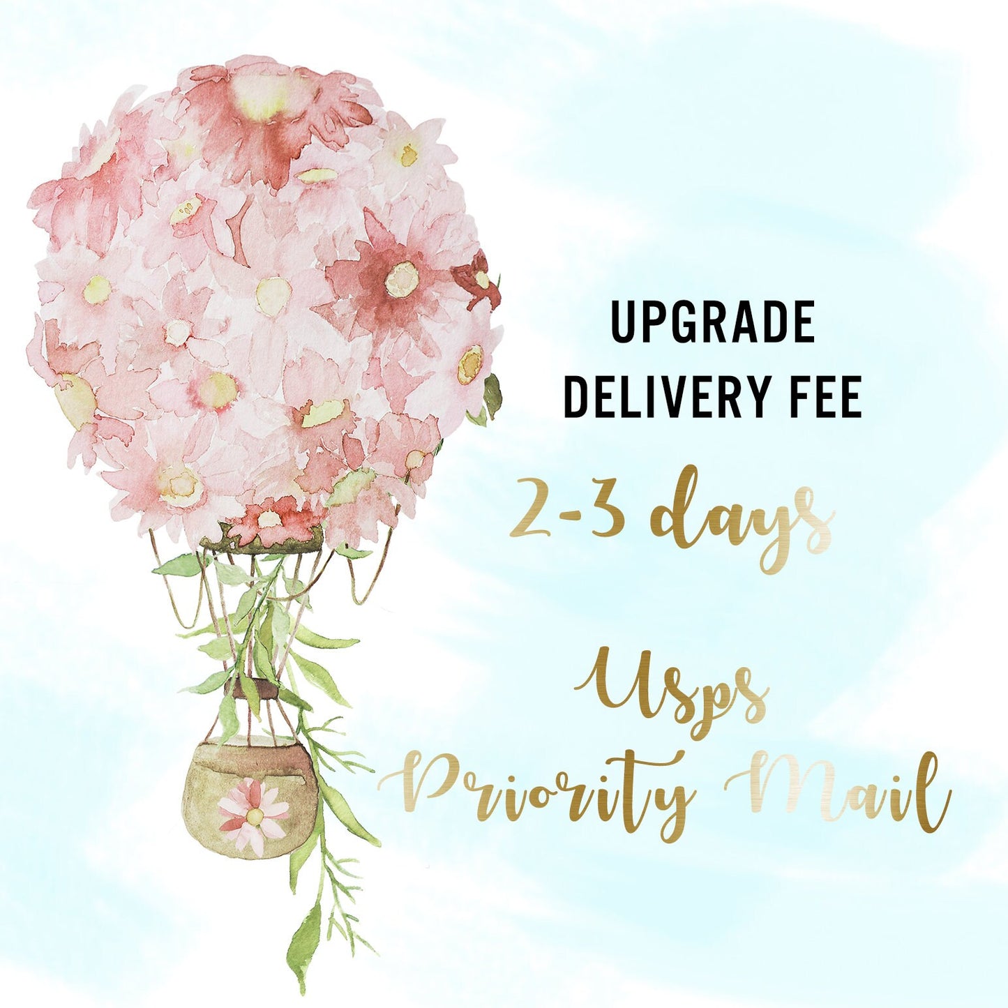 Extra Services, Custom Color, Upgrade delivery fee, Rush Order