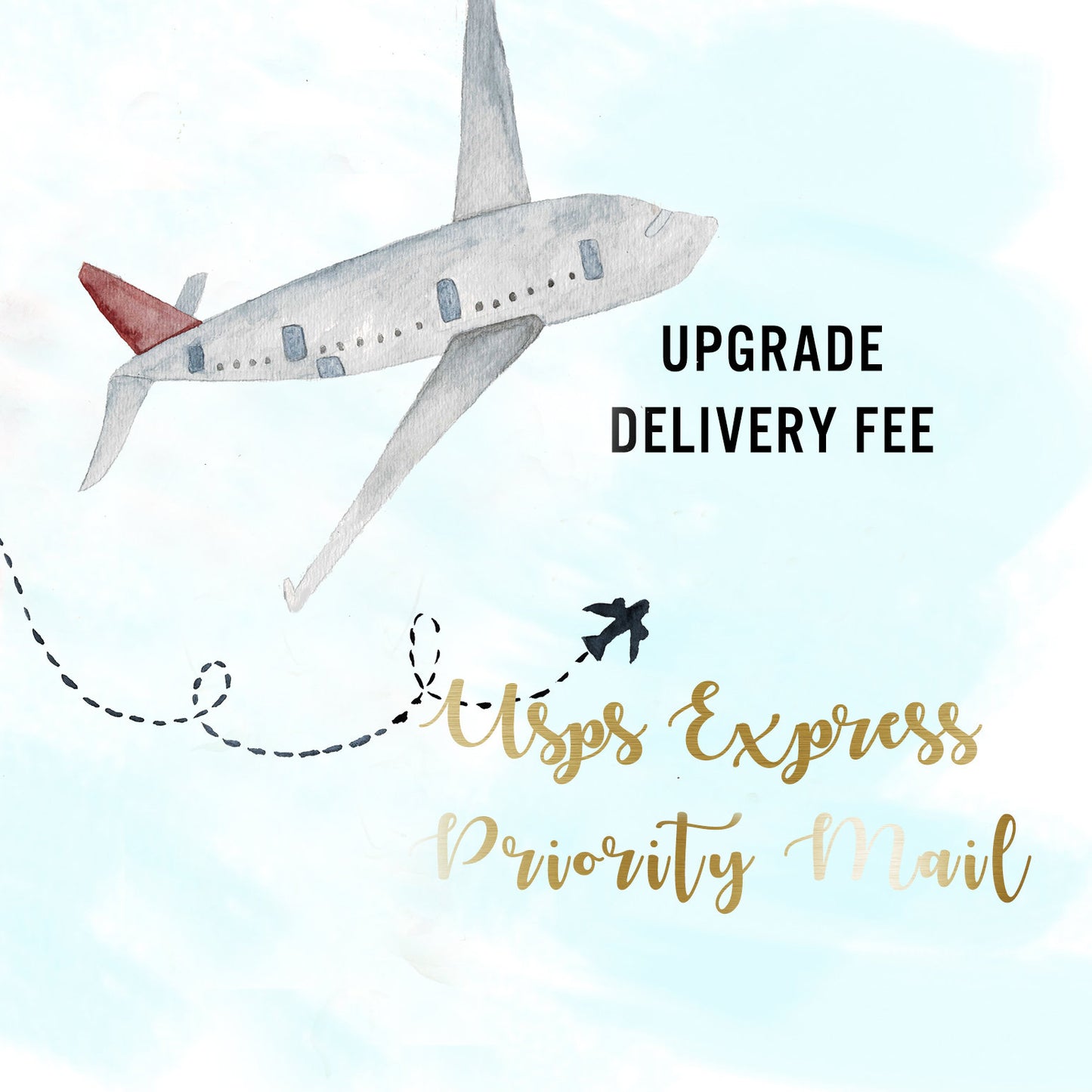 Extra Services, Custom Color, Upgrade delivery fee, Rush Order