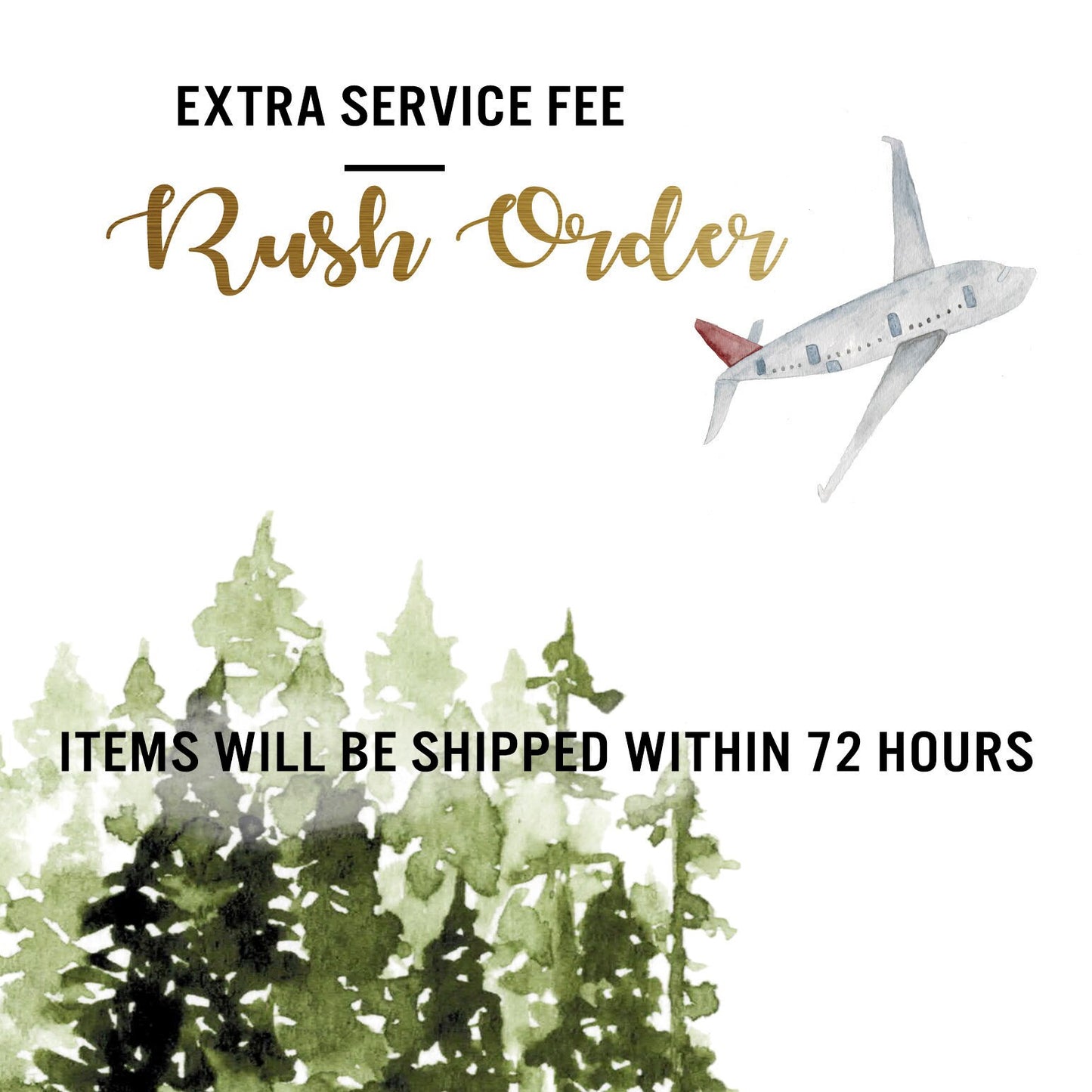 Extra Services, Custom Color, Upgrade delivery fee, Rush Order