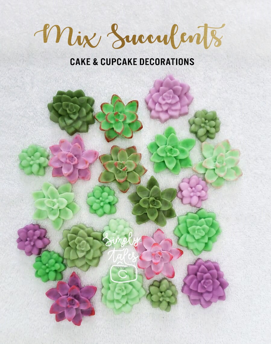 36 EXTRA SMALL Chrysanthemum Succulent cookie cupcake cake pop toppers, Cactus party, Summer celebration, Baby Shower